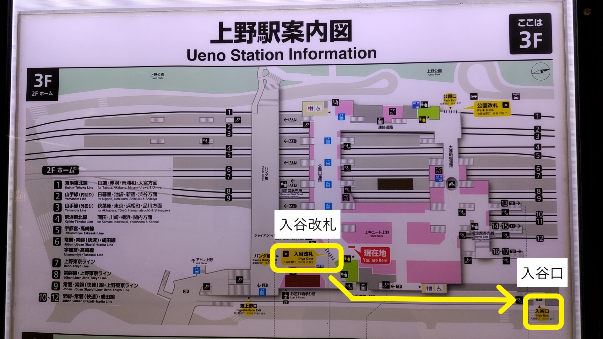 公の場での発言・インタビュー報道記録